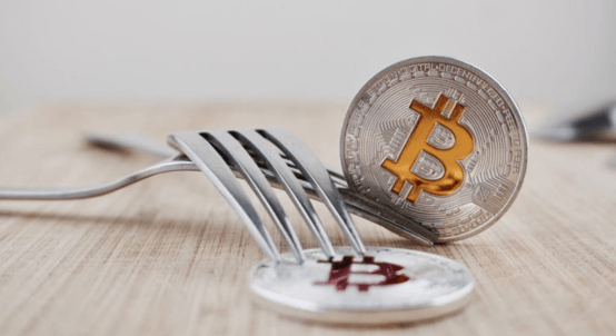 Forks in Blockchain: Types and Impact